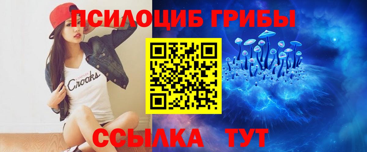 Галлюциногенные грибы Psilocybine cubensis Фролово